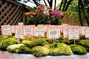 Moss Escort Cards