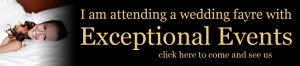 exceptional-events-banner