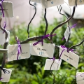 Daniel-Aniela-WeddingTable-tree1-t.jpg