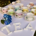 Daniel-Aniela-WeddingTea1-t.jpg