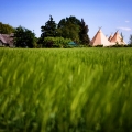 Daniel-Aniela-WeddingTipis-distance1-t.jpg