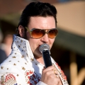 Elvis-t.jpg