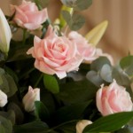 FLowers in Bruisyard