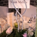 Jason-Zoe-WeddingMoss1-t.jpg