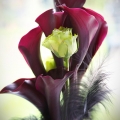 Paul-Rachel-WeddingBouquet-Closeup1-t.jpg
