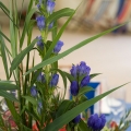 Retirement-PartyFlowers-t.jpg