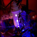 Retirement-PartyLighthouse-t.jpg