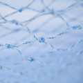 Retirement-PartyNetting-closeup-t.jpg