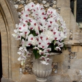 Rob-Poppy-WeddingOrchid-urn-outside-church1-t.jpg