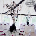 Rob-Poppy-WeddingPR-17-2261-t.jpg